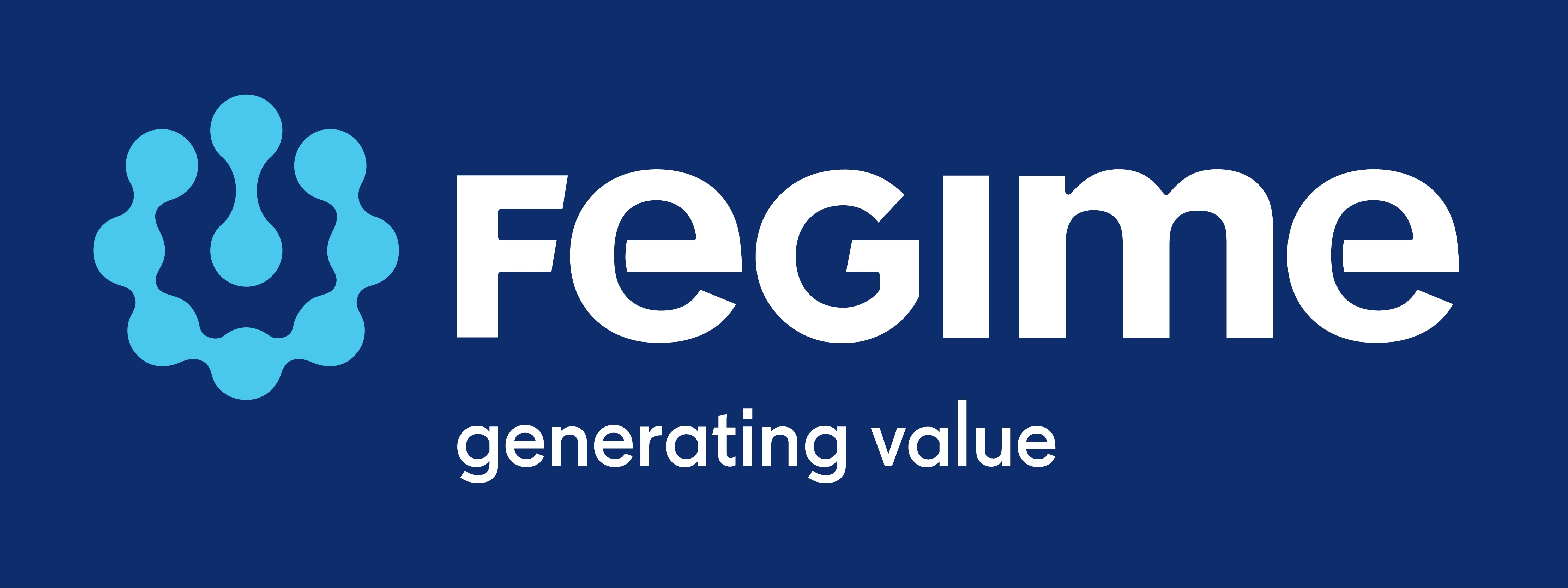 Logo Fegime
