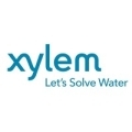xylem
