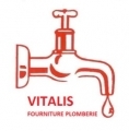 MICHEL VITALIS